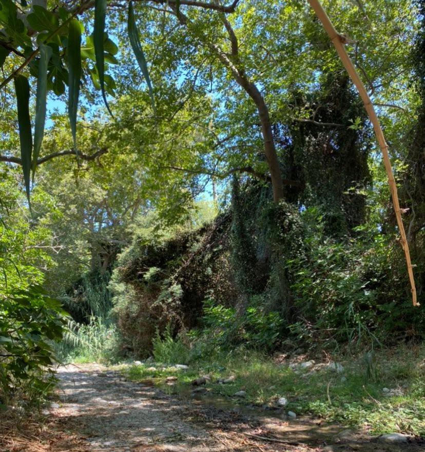Appartamento Artemis House Agios Nikolaos Esterno foto